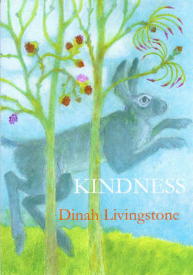 Book cover for Kindness