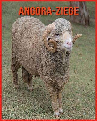 Book cover for Angora-Ziege