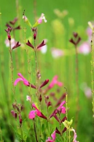 Cover of Pink & Purple Wildflowers - Blank Notebook