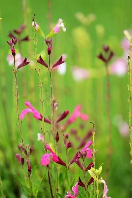 Book cover for Pink & Purple Wildflowers - Blank Notebook