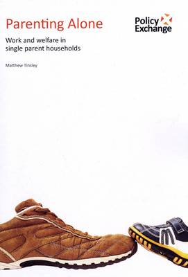 Book cover for Parenting Alone