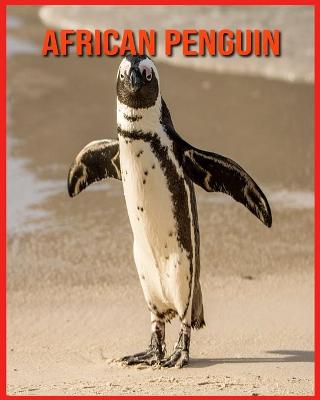 Book cover for African Penguin