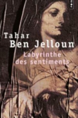 Cover of Labyrinthe des sentiments