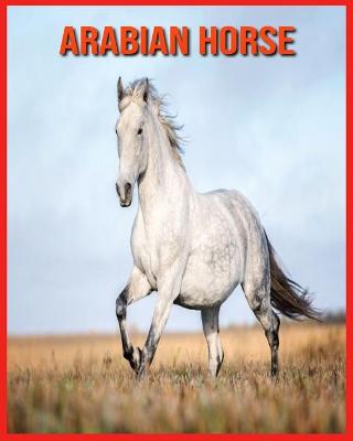 Book cover for Arabian Horse