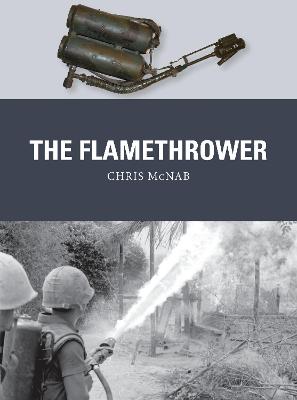 Book cover for The Flamethrower