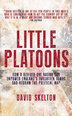 Book cover for Little Platoons