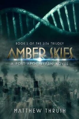 Cover of Amber Skies