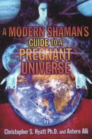 Cover of Modern Shaman's Guide to a Pregnant Universe