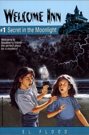 Cover of Secret in the Moonlight