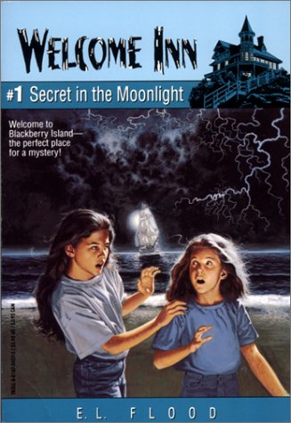 Book cover for Secret in the Moonlight