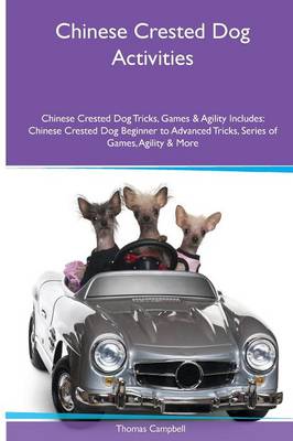 Book cover for Chinese Crested Dog Activities Chinese Crested Dog Tricks, Games & Agility. Includes