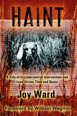 Book cover for Haint