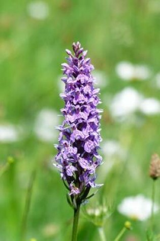 Cover of Heath Spotted Orchid, for the Love of Flowers