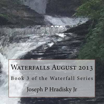 Book cover for Waterfalls August 2013