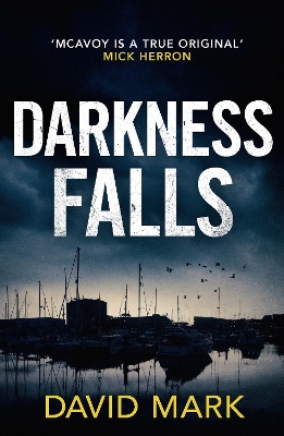 Book cover for Darkness Falls