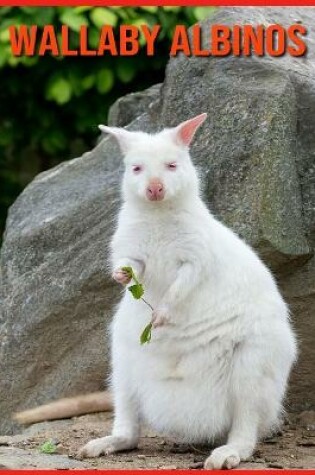 Cover of Wallaby Albinos