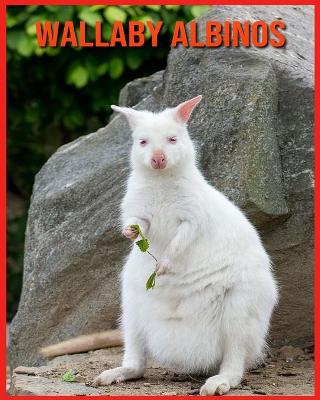 Book cover for Wallaby Albinos