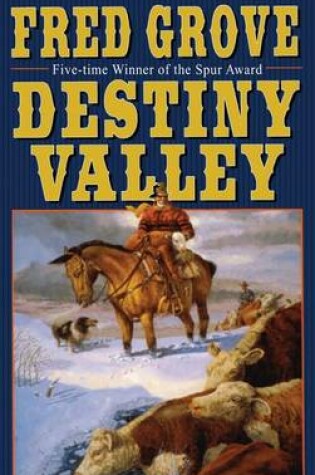 Cover of Destiny Valley