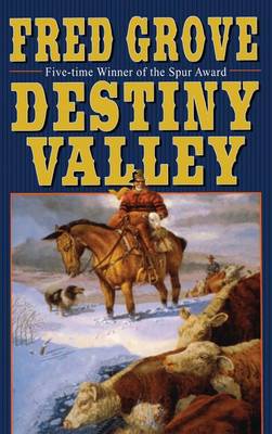 Book cover for Destiny Valley