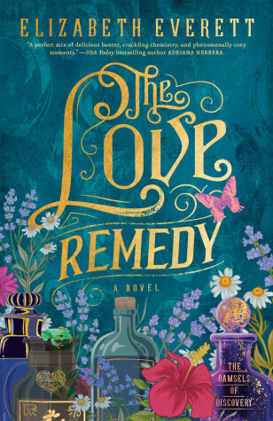 Book cover for The Love Remedy