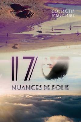 Book cover for 17 nuances de folie