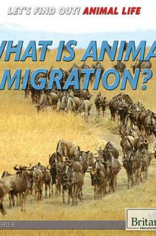 Cover of What Is Animal Migration?