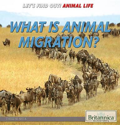 Cover of What Is Animal Migration?
