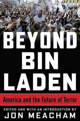 Book cover for Beyond Bin Laden