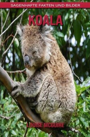 Cover of Koala