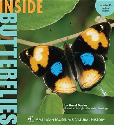 Book cover for Inside Butterflies