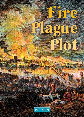 Book cover for Fire Plague Plot