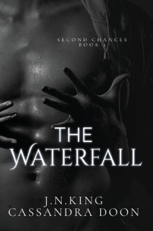 Cover of The Waterfall