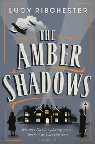 Cover of The Amber Shadows