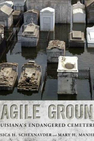 Cover of Fragile Grounds