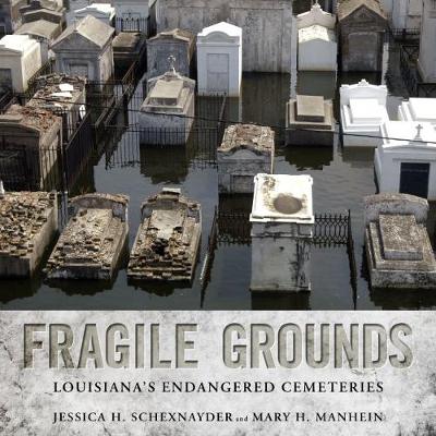 Cover of Fragile Grounds