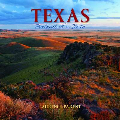 Book cover for Texas: Portrait of a State