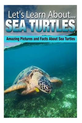 Book cover for Sea Turtles