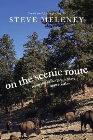 Cover of On The Scenic Route