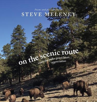 Cover of On The Scenic Route