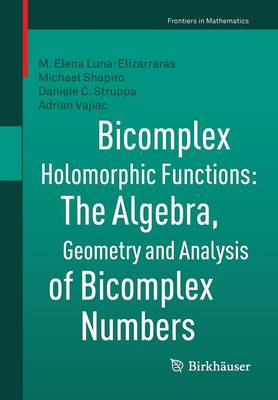 Cover of Bicomplex Holomorphic Functions