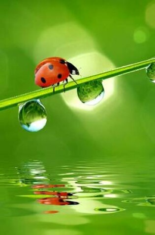 Cover of Ladybug on a Blade of Grass, for the Love of Nature