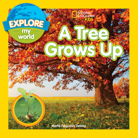 Book cover for Explore My World A Tree Grows Up