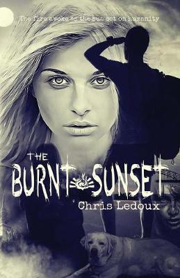 Book cover for The Burnt Sunset