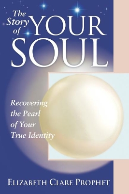 Book cover for The Story of Your Soul