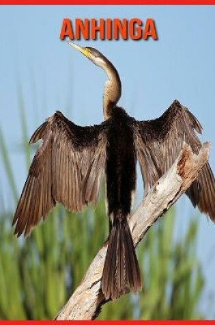 Cover of Anhinga