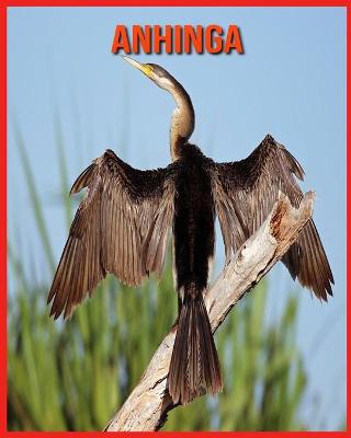 Book cover for Anhinga