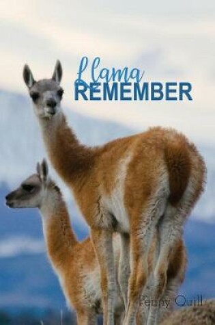 Cover of Llama Remember