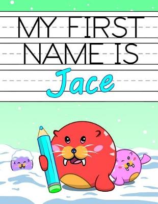 Book cover for My First Name Is Jace