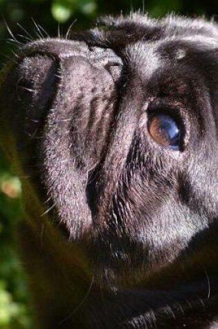 Cover of A Pug Looking Up Journal