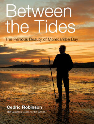 Book cover for Between the Tides